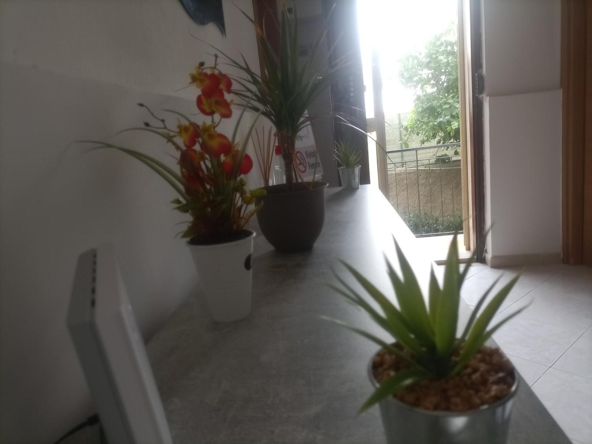 Appartamento Casa Dalila Belvedere  Esterno foto